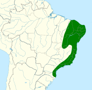 Cantorchilus longirostris map.svg