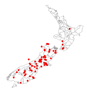 Carex buchananii DistMapNZ.png