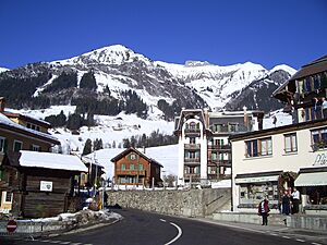 Chateaux d'Oex Landscape