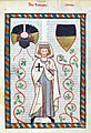 Codex Manesse Tannhäuser