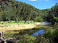 Currawong Beach4