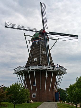 DeZwaanWindmill.JPG