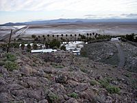 Desert Studies Center, Zzyzx Springs, California - 20050320