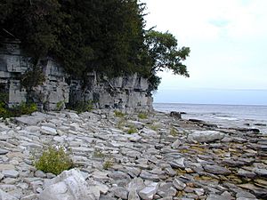 Door Bluff