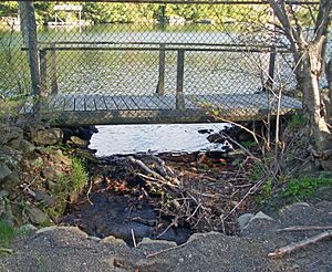 Esopus Creek source