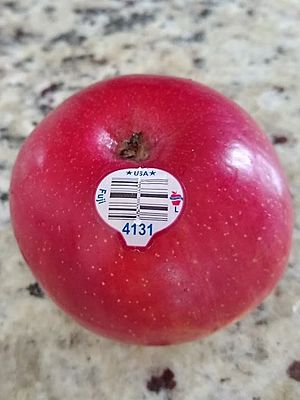 Fuji apple with PLU code