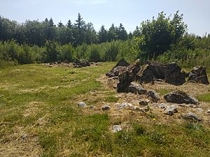 Gartnanoul Court Tomb-2.jpg