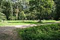 Glade in Treswell Wood - geograph.org.uk - 545434