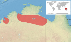 Litoria cryptotis map-fr.svg