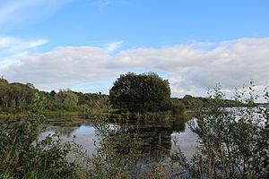 Lough Rynn Crannóg