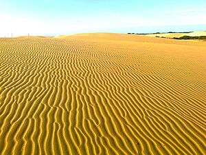 Medanos de C.