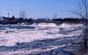 Moira River Spring Runoff