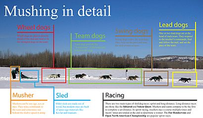 Mushing graphicx