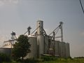 Newellton Elevator IMG 1274