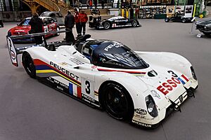 Paris - Bonhams 2013 - Peugeot 905 - 1993 - 002