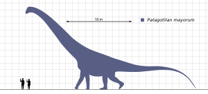 Patagotitan-Scale-Diagram-Steveoc86