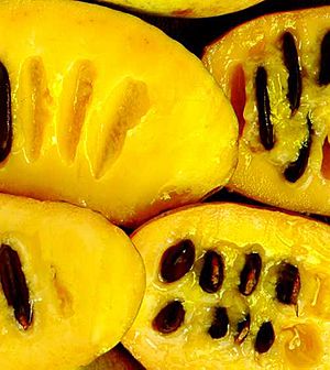 Pawpaw-fruit