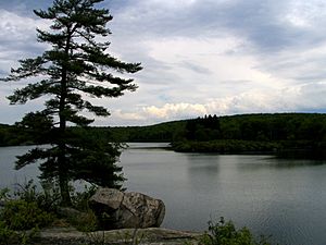 Pine Meadow Lake