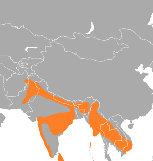 Psittacula eupatria range map.png