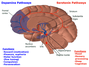 Pubmed equitativa hormonal