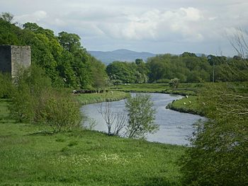 River clwyd rhuddlan.jpg