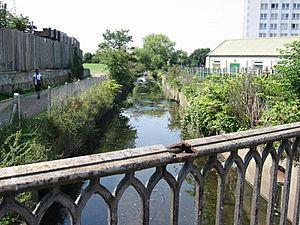 River rom south roneo corner