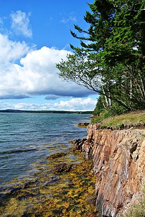 Roque Bluffs State Park.jpg