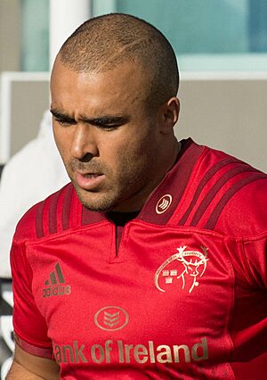 Simon Zebo 2017.jpg