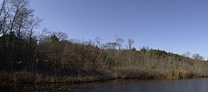 Stony Brook Reservation Parkways Boston MA