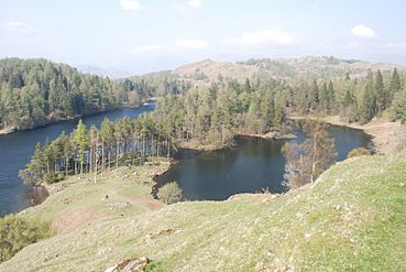 Tarn Hows