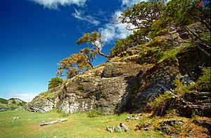 Tierra del Fuego 3