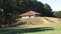 Town Creek Indian Mound.JPG