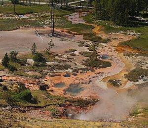 USA, Wyoming, Yellowstone National Park, Artists' Paintpoints, overview