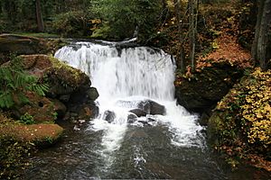 Upper Whatcom Falls-110506