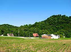 Buildings along SR 56 in Whitleyville