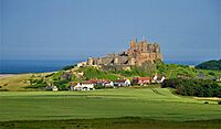 17 Bamburgh Castle (4)