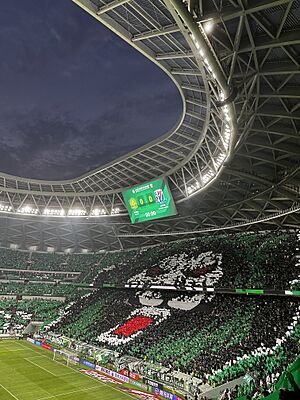 A tifo before a Beijing Guoan match in August 2023