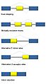 Alt splicing bestiary2