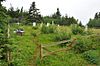 ArnoldsCoveNL SalvationArmyCemetery.JPG