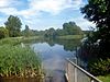 Backwell lake 1.jpg