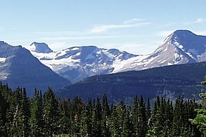 Blackfoot and Jackson Glaciers