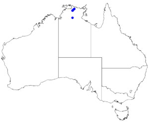 Boronia rupicola DistMap106.png