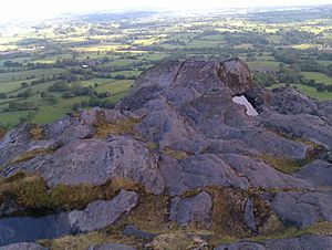 Bosley Cloud Summit