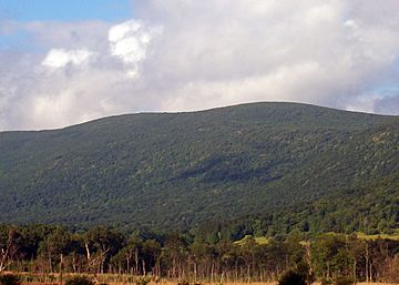 Brace Mountain from southwest.jpg