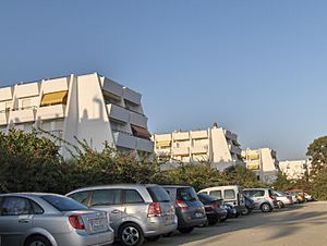 Buildings in Caleta de Vélez