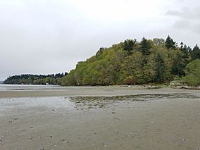 Dash Point State Park.jpg