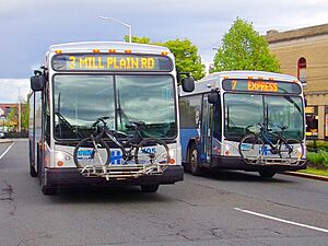 HARTransit Gillig BRTs (Downtown Danbury)