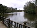 Harewood Lake