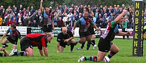 Harlequins celebrating