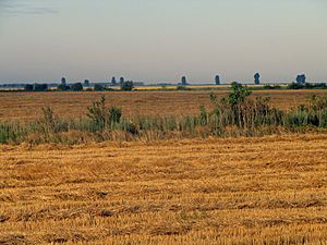 Landscape in Călărași County